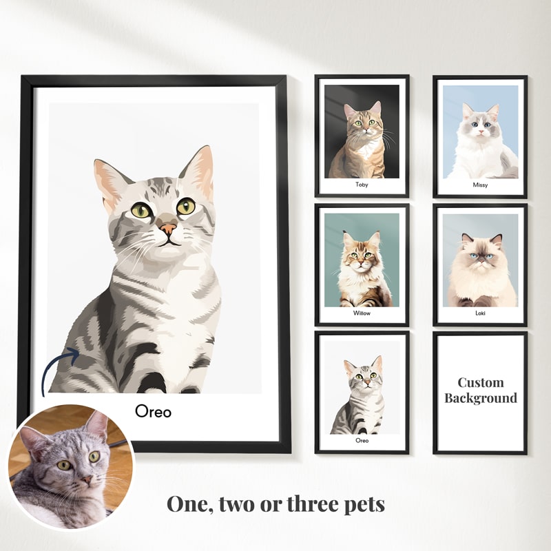 Custom Cat Portrait  PetPortraits.com Modern 1 Pet
