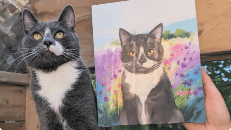 cats pet portraits