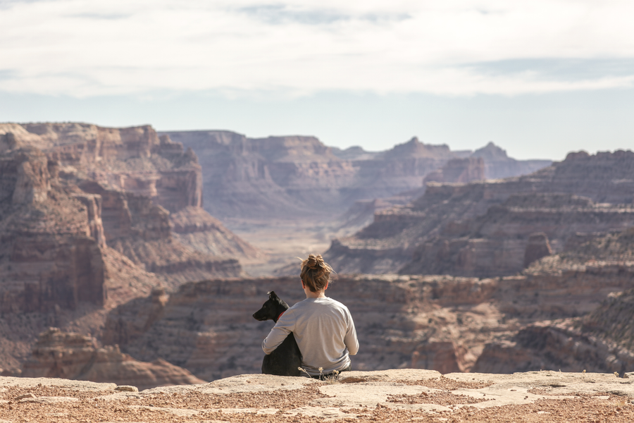 What to Give Someone Who Has Lost a Pet: A Comprehensive Guide for the Grieving Pet Owner