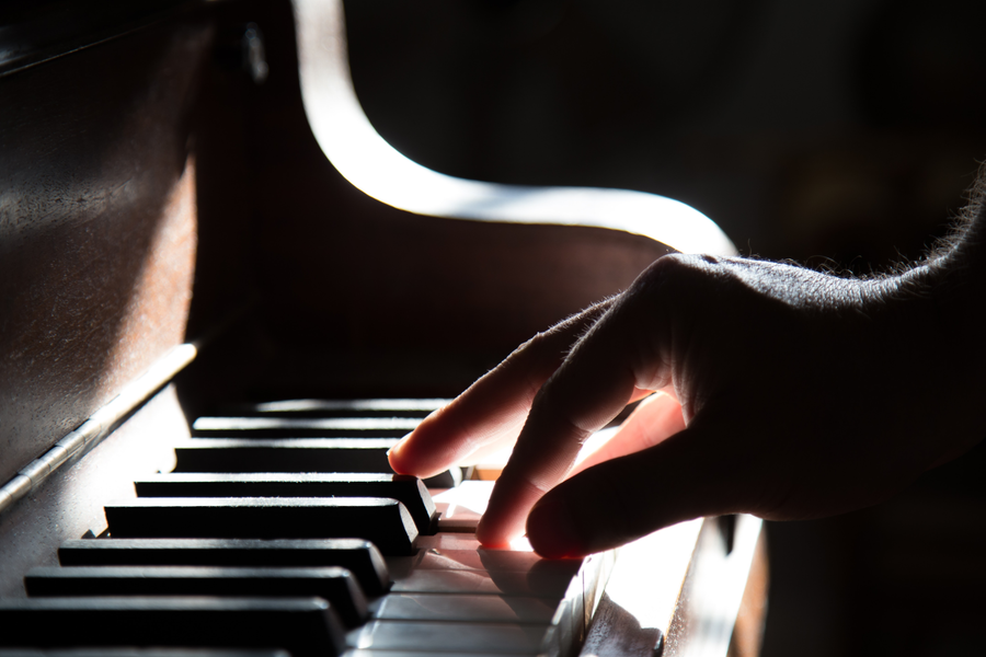 Pet Loss Memorial Songs: The Healing Power of Music for Grieving Hearts