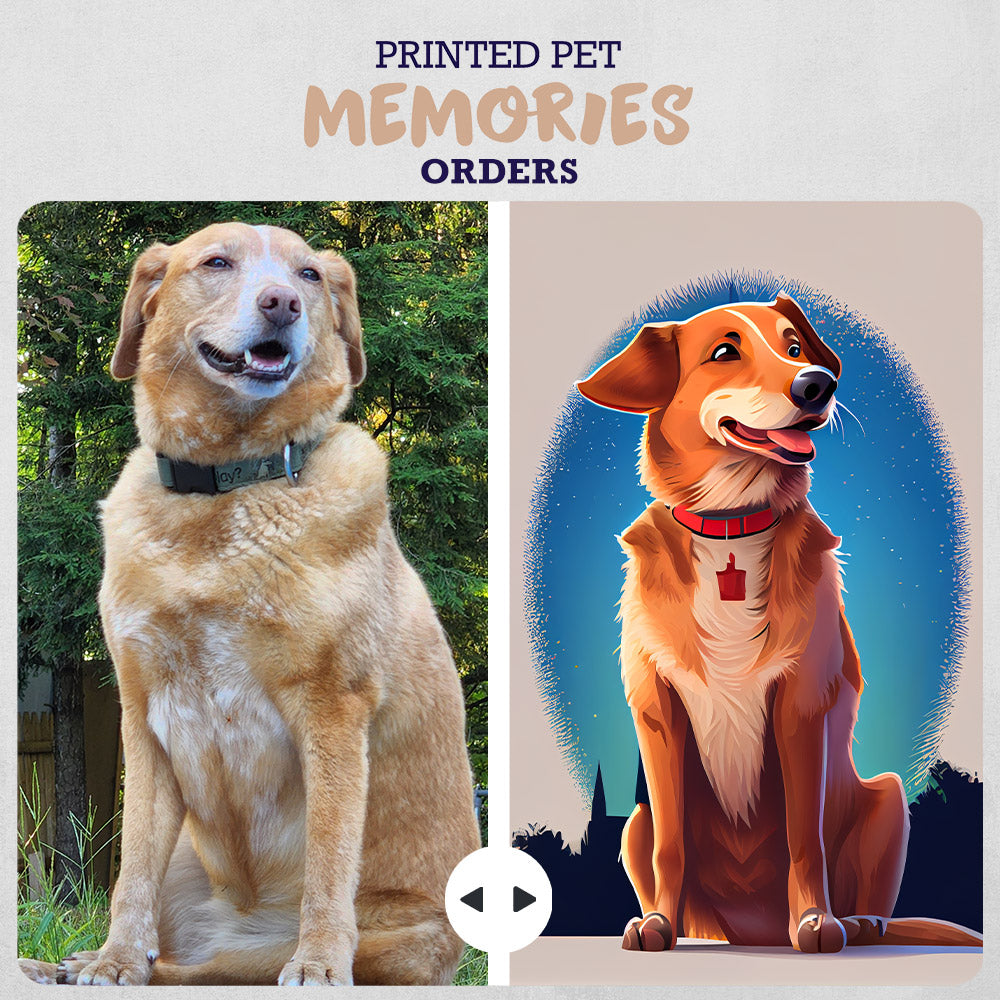 The Pet Cartoon Creation Process: From Photo to Framed Masterpiece