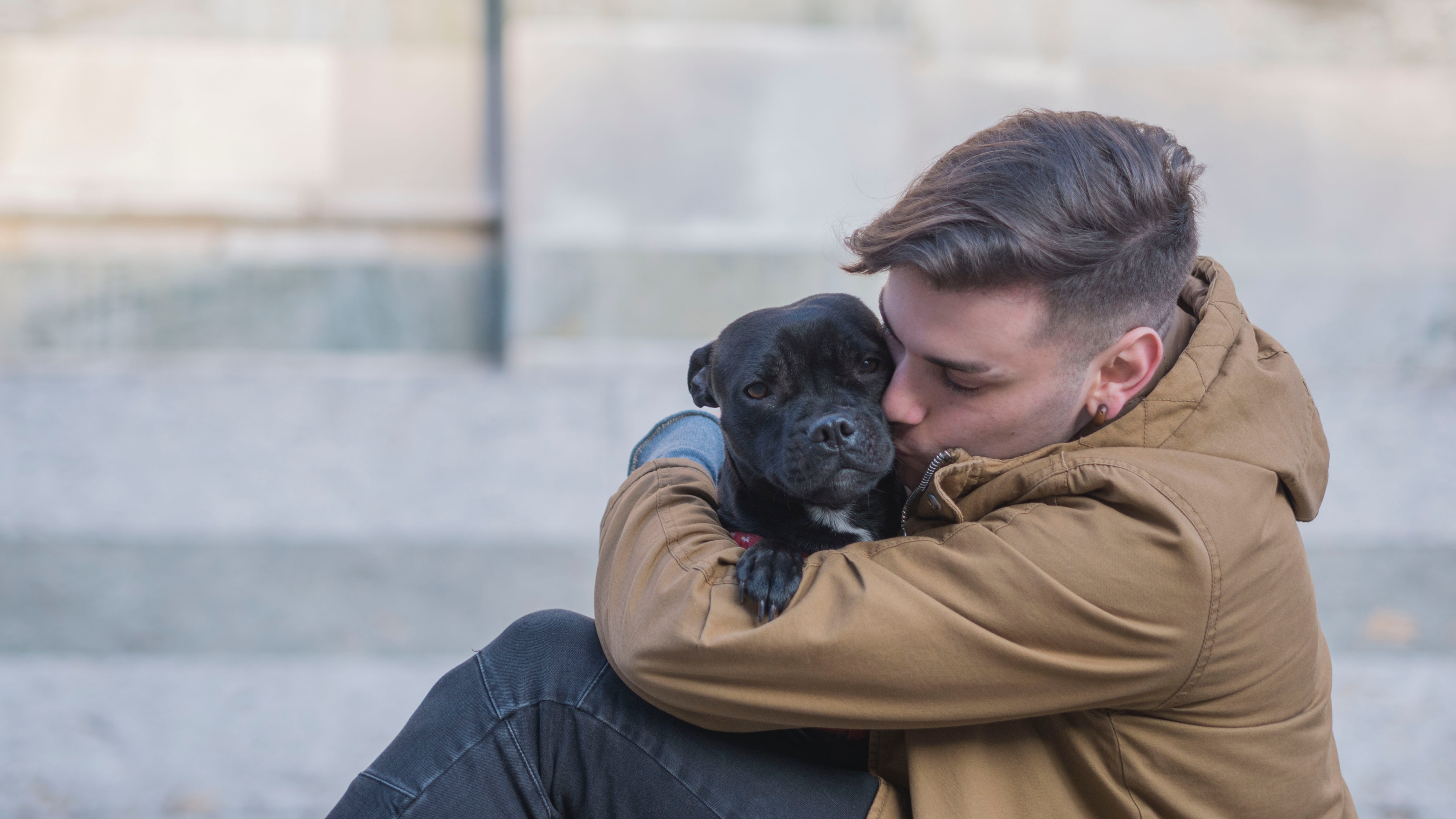 Memorial Sayings For Loss Of Pet: Honoring Unconditional Love