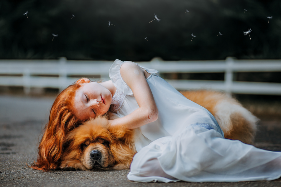 Celebrating National Pet Memorial Day: Honoring Our Beloved Companions