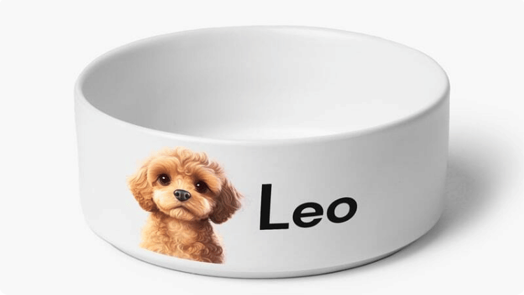 pet bowls