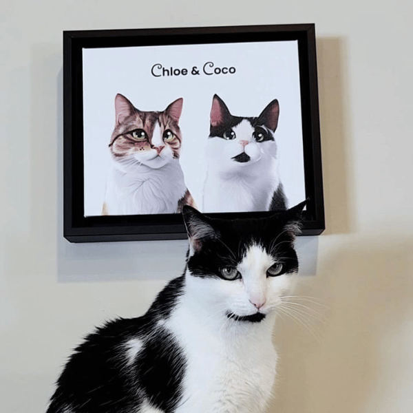 Cat Cartoon Images Lander  Pet Portraits   