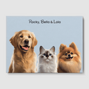 Modern Baby Blue Canvas One, Two or Three Pets Canvas Three 12"x16" No Frame