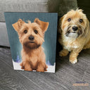 Custom Pet Portrait - 3 Pet