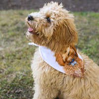 Pet Portrait Bandana  PetPortraits.com   