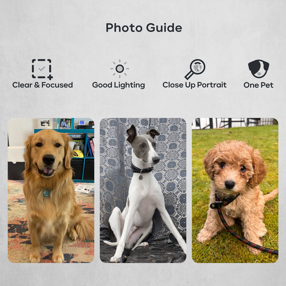 Custom Pet Portrait - 3 Pet