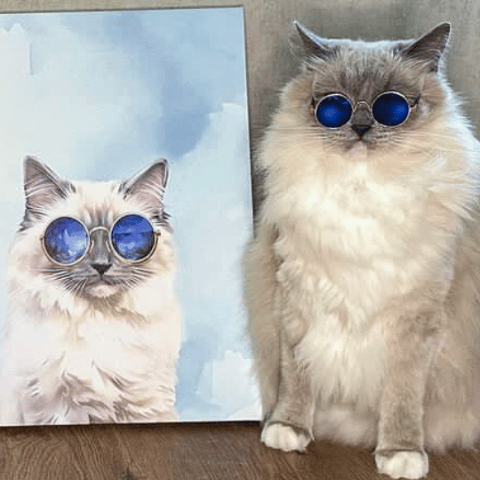 cat pet portrait