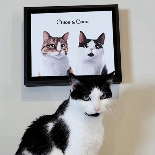 Custom Cat Caricature  PetPortraits.com   