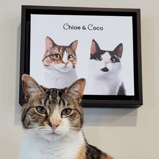 Custom cat pet portrait