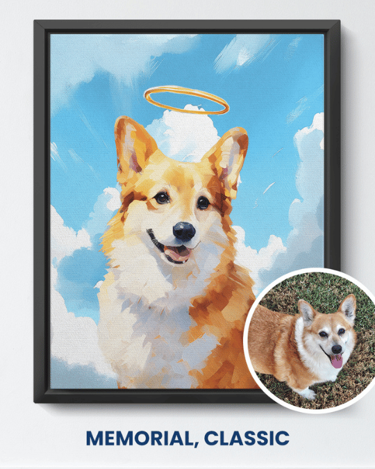Memorial classic portrait of a corgi with a halo