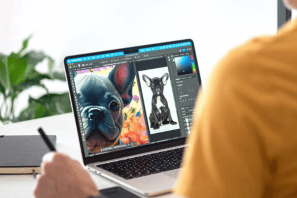 Artist editing a pet portrait on a laptop