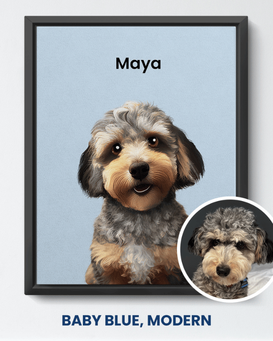 Baby Blue modern portrait of a doodle dog named Maya