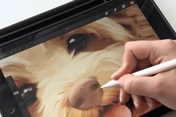 Artist drawing a pet portrait on a tablet