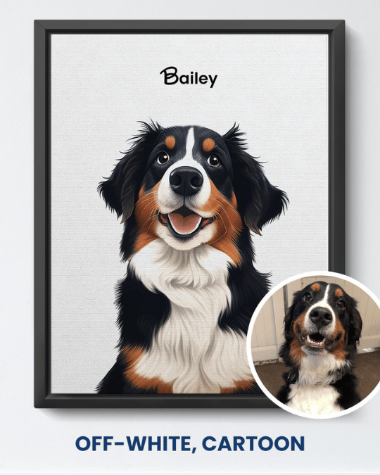 Off-White cartoon portrait of a Bernese mountain dog named Bailey