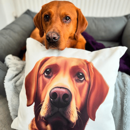 Custom Dog Art Pillow