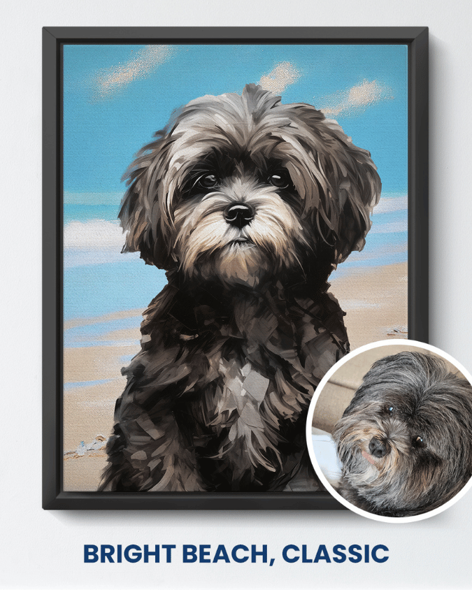 Bright Beach classic portrait of a black shaggy dog
