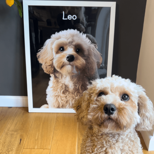 Custom Modern Black Charcoal White Framed Poster