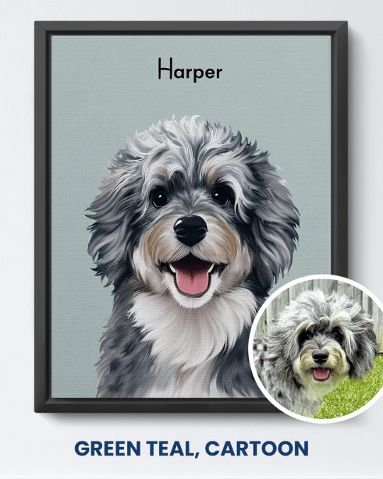 Green Teal cartoon portrait of a gray shaggy dog named Harper