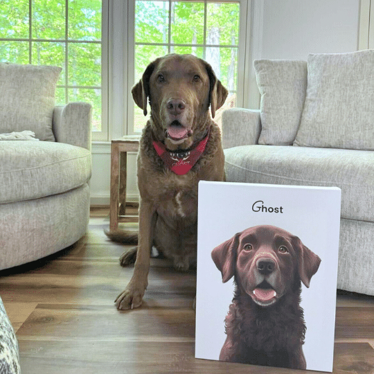 Custom cartoon white background portrait