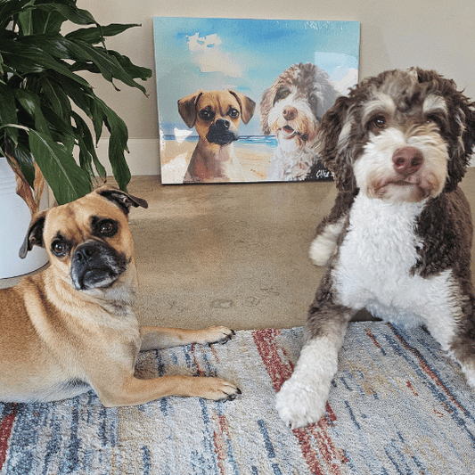 Two Dog Portraits  PetPortraits.com   